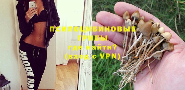 мескалин Рославль