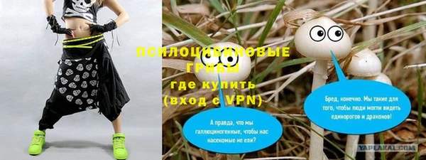 мескалин Рославль