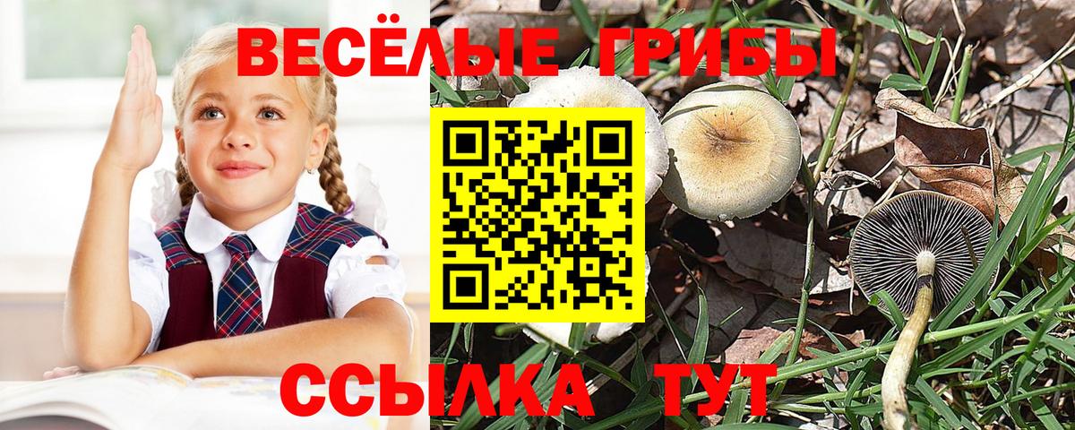 Дербент  купить наркотики цена  Вход с VPN  Псилоцибиновые грибы мицелий  Галлюциногенные грибы ЛСД 