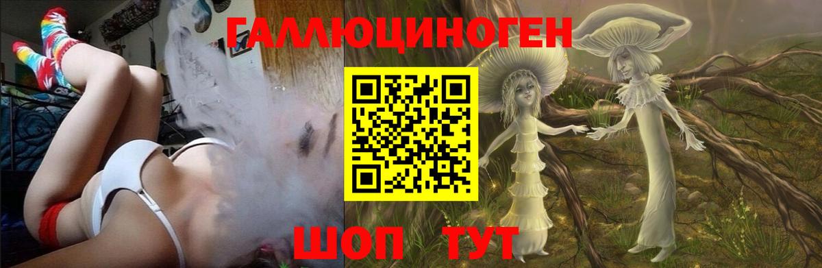 Псилоцибиновые грибы GOLDEN TEACHER Дербент